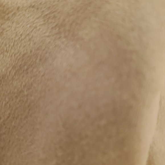 Faux suede motto jacket - Picture 3 of 7